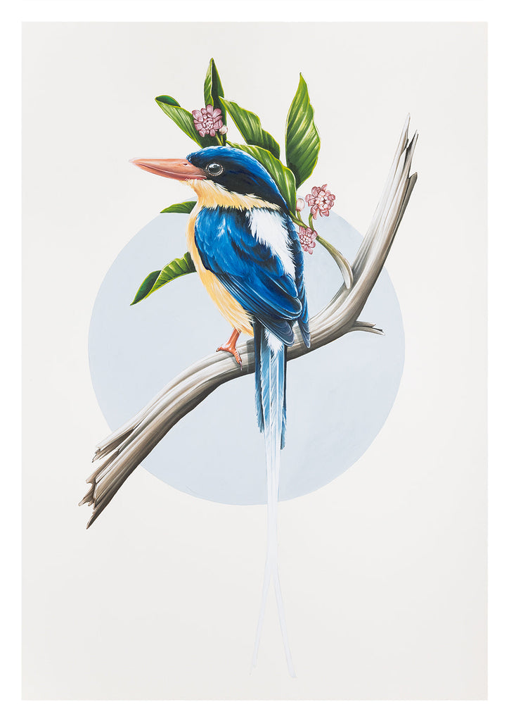 'Paradise Kingfisher On Idiot Fruit Original' by Thomas Jackson